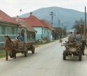 Pferdewagen