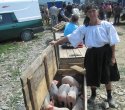Sighetul Marmaţiei 
						- Viehmarkt
